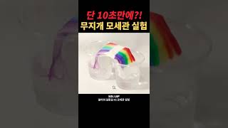 수상할 정도로 긴 1초 무지개다리 experiment science capillary capillarity rainbow bridge 모세관현상 모세관 [upl. by Kleinstein481]