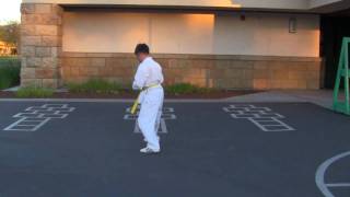 Wes Hapkido Same Side Wrist Grab Joint Lock 111310 [upl. by Bred]