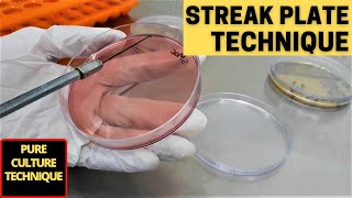 Streak Plate Technique for The Isolation of Pure CultureA Complete Procedure Microbiology [upl. by Mckinney]