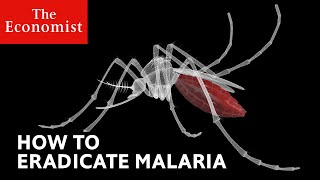 How to defeat malaria [upl. by Gabrielle941]