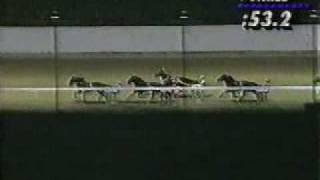 Breeders Crown 1990 2YRCP  USTA Harness Racing [upl. by Ledda144]