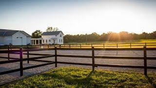 Buckley Steel Board Horse Fence [upl. by Floria760]