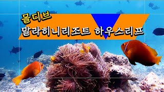 몰디브 공항에서 단10분 말라히니 리조트 하우스리프 스노클포인트 체크 영상 Maldives malahini kuda bandos [upl. by Ised]