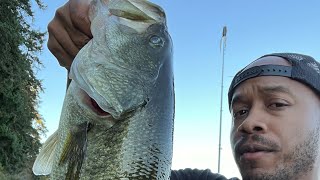 Day 152 4lb Largemouth Bass [upl. by Tterrag]