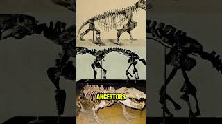 Meet the Therapsids the MammalLike Reptiles before dinosaur [upl. by Yemorej]