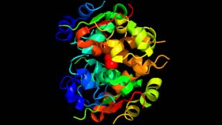 The structure of human insulin [upl. by Trixy435]