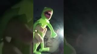 Kermit Dances To Same Old Brand New You [upl. by Scholz]