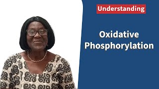 Oxidative Phosphorylation [upl. by Akirderf]