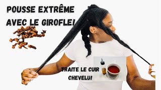 🌿115 LE GIROFLE POUR LA POUSSE ET LE TRAITEMENT DES CHEVEUX roodorganics [upl. by Rockie]