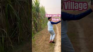 Sugarcane farm India Village Farming  Ganna ki kheti in Winter Holiday festival visit in 🪔 [upl. by Ahserak]