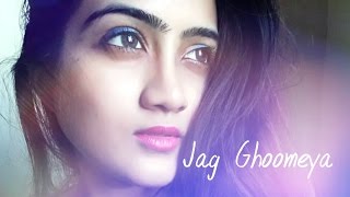 Jag Ghoomeya  Unplugged  Sultan  Salman khan  Amika Shail Female Cover [upl. by Adalbert]