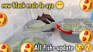 new black male le aya 😁 bohut hi bara or piyara 😍 [upl. by Eltsyrk]