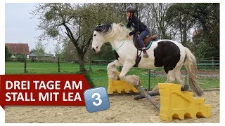 3 Tage am Stall 🐎 Reiten mit Bill amp Springen mit Kenny [upl. by Osithe]