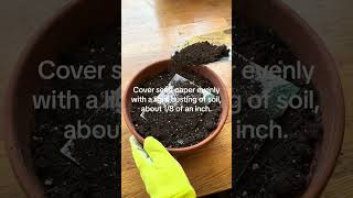 How to plant seed paper [upl. by Ewart834]