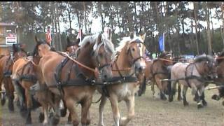 ZEHNSPÄNNERTITANEN DER RENNBAHN 2011 [upl. by Yelyk720]