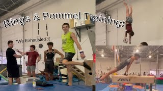 Pommel Horse amp Rings Training  Fails [upl. by Alleinad]