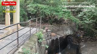 புலி அருவி🐯போகாதீங்க ஏமாந்துபோவீங்க  Courtallam  Tiger Falls  Kutrallam  Courtallam News [upl. by Enenej]