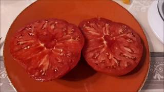 Récupération de graines de tomates  nom inconnu   potiron écarlate et tomate cerise poire jaune [upl. by Onder]