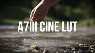 SONY A7iii CINE LUT  GM 2470mm 28 [upl. by Dawkins]