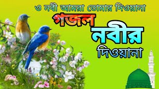 ও নবী আমরা তোমার দিওয়ানা ।। O Nabi Amara Tomar Deewana ।। Naiem Raza ।। Gojol [upl. by Nedearb]