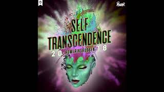 RingnesRonny  Self Transcendence ft Kaptein Hook [upl. by Arikaahs]