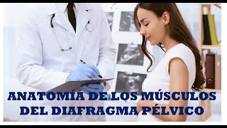 MÚSCULOS DEL DIAFRAGMA PÉLVICO explicación por un profesor universitario de anatomía [upl. by Salkcin]