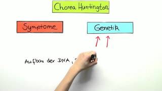 Chorea Huntington  Biologie  Genetik [upl. by Yldarb]