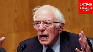 Bernie Sanders Chairs Senate Health Committee Hearing On The Struggles Of LongCOVID [upl. by Enaht725]