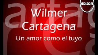 Wilmer Cartagena Un amor como el tuyo [upl. by Eilrac194]