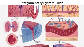 Integumentary System Trivia N [upl. by Ayatahs]