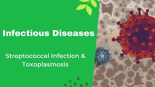 Infectious Diseases  Streptococcal Infection amp Toxoplasmosis [upl. by Llenrup]