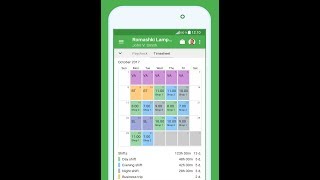 Green Timesheet [upl. by Eliak461]