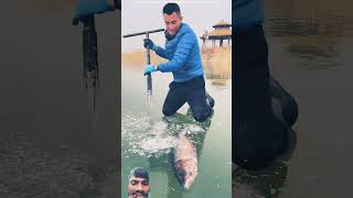 fishing icefish carpfishing [upl. by Gualtiero]