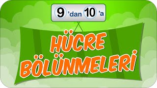 Hücre Bölünmeleri  9dan 10a Hazırlık Kampı ✍🏻 [upl. by Adnicul]