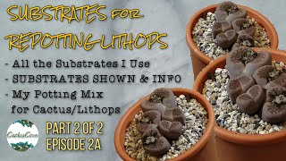 LITHOPS Soil Mix amp Substrates I Use suits cactus Part 2 of 2 Episode 2a FEB 2021 [upl. by Nylaroc533]