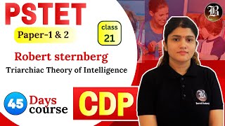 Triarchiac Theory of Intelligence Lec21 Robert sternberg CDP PSTET Paper1 amp 2 45 Days Course [upl. by Ellenod]