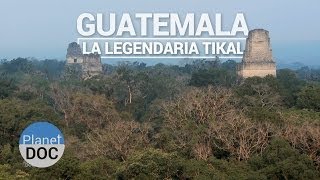 Guatemala La legendaria Tikal  Viajes  Planet Doc [upl. by Kcorb]