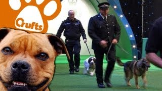 West Midlands Police Display  Crufts 2013 [upl. by Oileve]