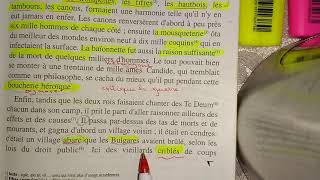 Candide ou loptimisme chapitre 3 lecture et explication [upl. by Serles]