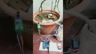 Soil moisture sensor working [upl. by Mcdade]