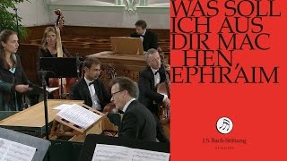 JS Bach  Aria quotGerechter Gott ach rechnest duquot from Cantata BWV 89 [upl. by Sena]