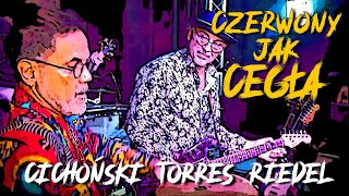 Official VIDEO  Czerwony jak cegła Cichoński  Torres Band feat Sebastian Riedel [upl. by Styles]