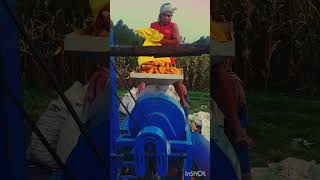 corn new technology machineviral caltivation farmers youtubeshorts feeds fishing and farming [upl. by Accever]