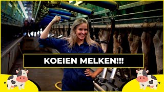 KOEIEN MELKEN met de Boer  Harde Werkers [upl. by Ailenroc]