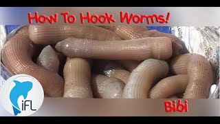 How to hook worms Come innescare Bibi [upl. by Wasserman]