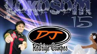 Música 11 Lokosom Vol15 Dj Rodrigo Campos2011 [upl. by Euqinommod233]