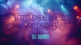 Tribal Mix 2024Dj Binno [upl. by Nayb709]