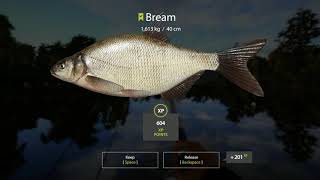 Mosquito Lake Bream Spot  Russian Fishing 4 [upl. by Chrysler]