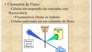 Aprenda Plugado  IMUNOLOGIA  Aula 12 Slide 9 Imunofluorescência  Citometria de Fluxo [upl. by Aneelahs614]