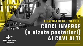 Croci inverse o alzate posteriori ai cavi alti  Libreria degli esercizi 🏋 [upl. by Schwerin]